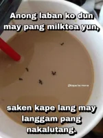 FB_IMG_1679738309543.webp