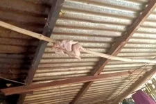 FB_IMG_16798309238917921.webp