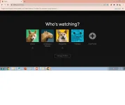 Untitled.webp