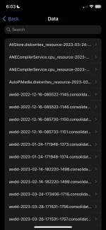 IMG_2285.webp