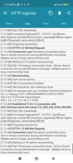 Screenshot_2023-03-31-01-13-40-542_com.evozi.injector.webp