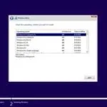A3.webp