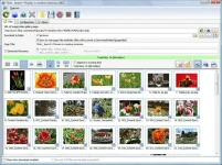 bulk-image-downloader-2.webp bulk-image-downloader-2.webp