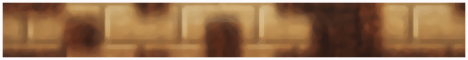 PHC Banner.gif