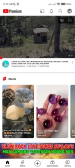 Screenshot_2023-04-01-11-33-08-214_com.google.android.YøùTùbé.webp