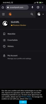 Screenshot_2023-04-02-20-45-04-265_com.android.chrome.webp