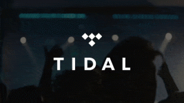 1680444594828.gif