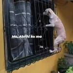 FB_IMG_1680618937365.webp