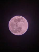 PXL_20230405_203857846.NIGHT.webp