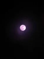 PXL_20230405_203844389.NIGHT.webp