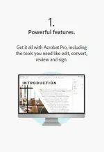 1.webp 1.webp