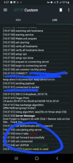 Screenshot_20230407-183708_HTTP Custom.webp Screenshot_20230407-183708_HTTP Custom.webp