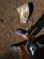 1680916911048.webp