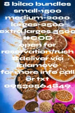 PhotoRoom-20230330_080707.webp PhotoRoom-20230330_080707.webp