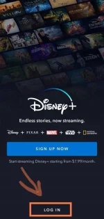 Screenshot_2023-04-11-12-45-13-121_com.disney.disneyplus-edit.webp