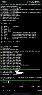 orca-image--1657490785.webp