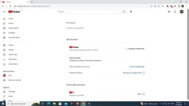 YøùTùbé premium.webp