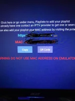 340672774_249357097539028_7506214553650592769_n.webp