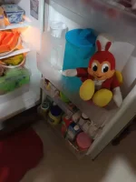 FB_IMG_1681703763453.webp