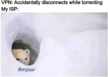 1681772890068.webp