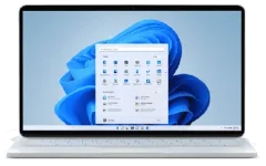 w11.webp