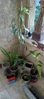 20230419_171410.webp
