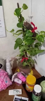 20230419_172038.webp