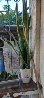 20230419_172250.webp