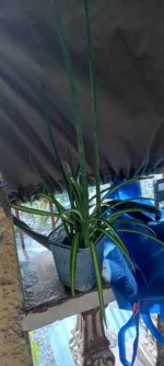 20230419_171507.webp
