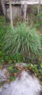 20230420_062445.webp