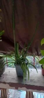 20230422_175609.webp