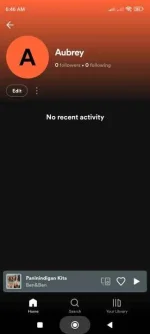 Screenshot_2023-04-23-06-46-01-463_com.spotify.music.jpg