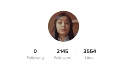 tiktok takip bago [D45374A].png
