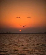 FB_IMG_1682656927406.webp