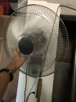 image.webp