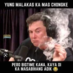 chonke_bigtime.webp