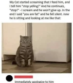 FB_IMG_1683626237006.webp