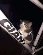 FB_IMG_1683630936640.webp