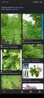 Screenshot_2023-05-09-19-45-39-90.webp