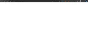 1683686583198.webp