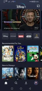 Screenshot_20230513_065557_com.disney.disneyplus.webp