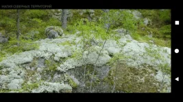 Screenshot_20230516-002758.webp Screenshot_20230516-002758.webp