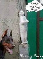 FB_IMG_1679768011576.webp