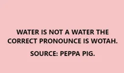1684287761938.webp