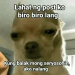 1684419928635.webp