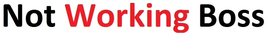 notworkingboss.webp notworkingboss.webp