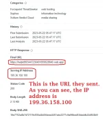 URL and IP Address.webp URL and IP Address.webp