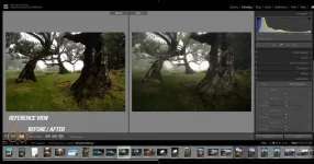 70-Adobe-Lightroom-Classic-Tips-for-Beginners.jpg 70-Adobe-Lightroom-Classic-Tips-for-Beginners.jpg
