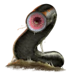 1684933537174.webp