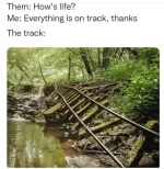 FB_IMG_1684926737803.webp